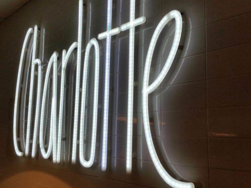 Charlotte Almeria, un nouveau défi pour MisterWils !