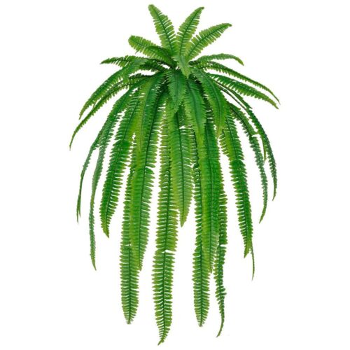 PLANTE ARTIFICIELLE HELECHO style tropical | Trouvez-la chez MisterWils. Plus de 4000m² d'exposition.