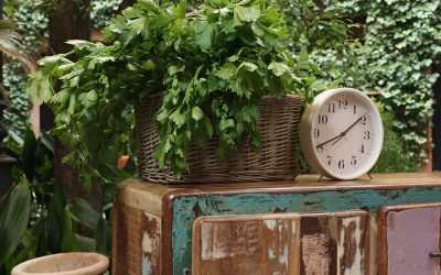 5 secrets déco pour éviter la déprime post-vacances