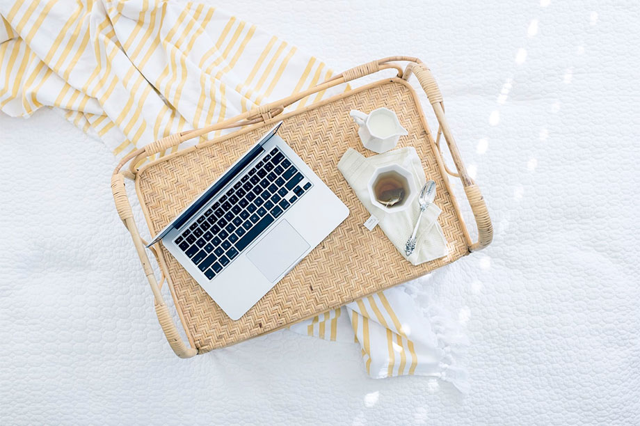 Rotin, osier et bambou, apprenez à les différencier 