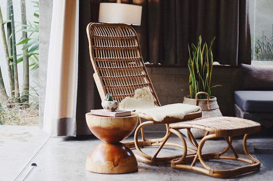 Rotin, osier et bambou, apprenez à les différencier 