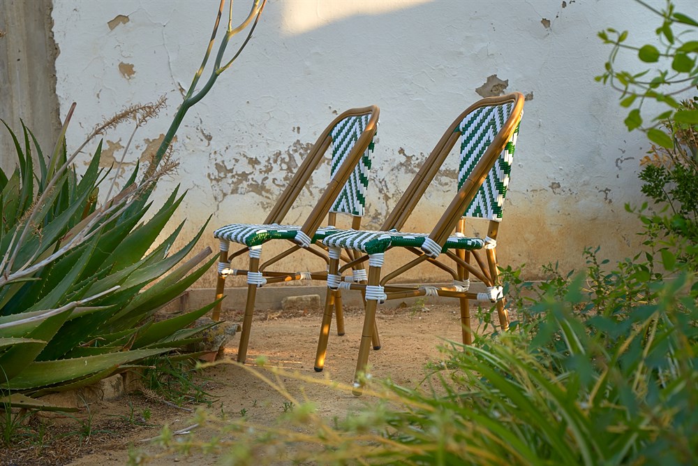 Rotin, osier et bambou, apprenez à les différencier 