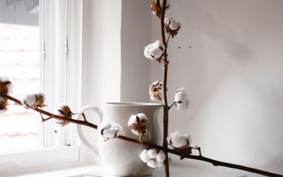 Nouvelle tendance déco à la mode : qu’est-ce que le Japandi ?