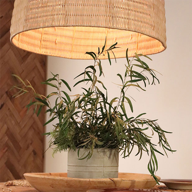 On vous présente notre collection Organic Chic