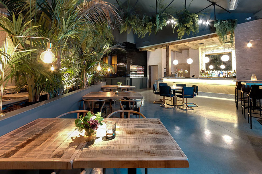 4 plantes faciles à entretenir pour donner un look sauvage à votre restaurant