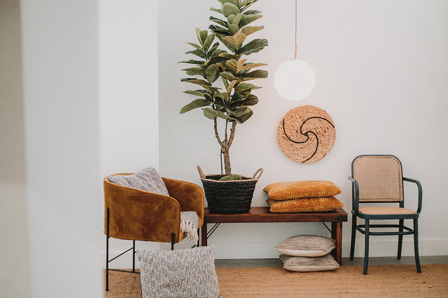 4 plantes faciles d’entretien pour donner un look sauvage à votre restaurant