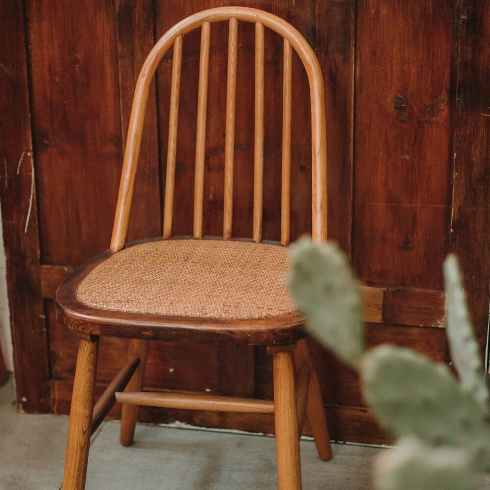 misterwils-photo-ambiance-apple-1 CHAISE EN BOIS APPLE style japandi | Trouvez-la chez MisterWils. Plus de 4000m² d'exposition... 3