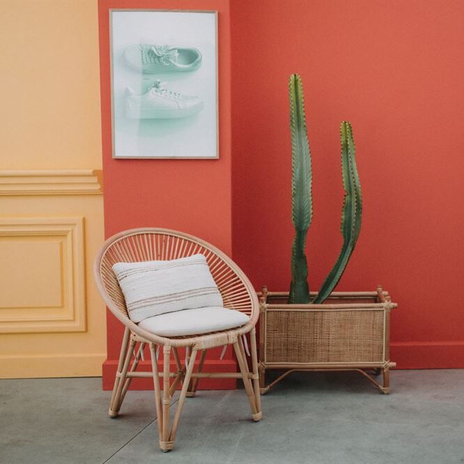 misterwils-photo-ambiance-rayman-planter-4 Buffets, étagères, luminaires, tables, chaises, canapés, tabourets... MisterWils. Plus de 4000m² d'exposition. 581