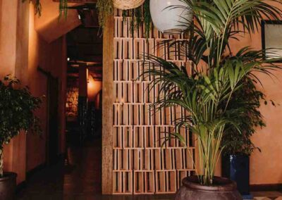 Tropicana a fait confiance à MisterWils pour la décoration de son nouvel établissement à Ronda 6