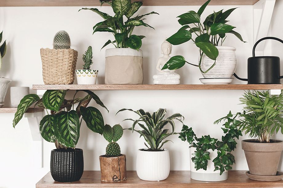 9 tips pour adapter la tendance Scandifornian à votre intérieur