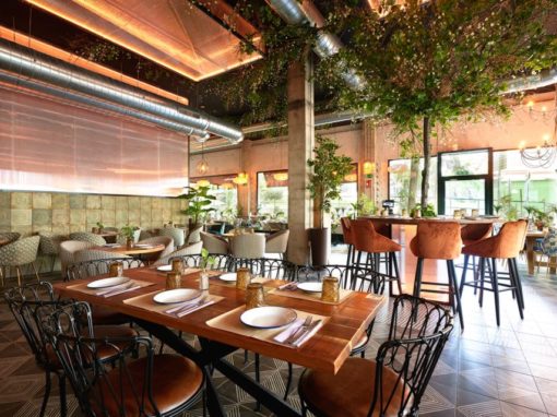 “Burro Canaglia” en pleine expansion