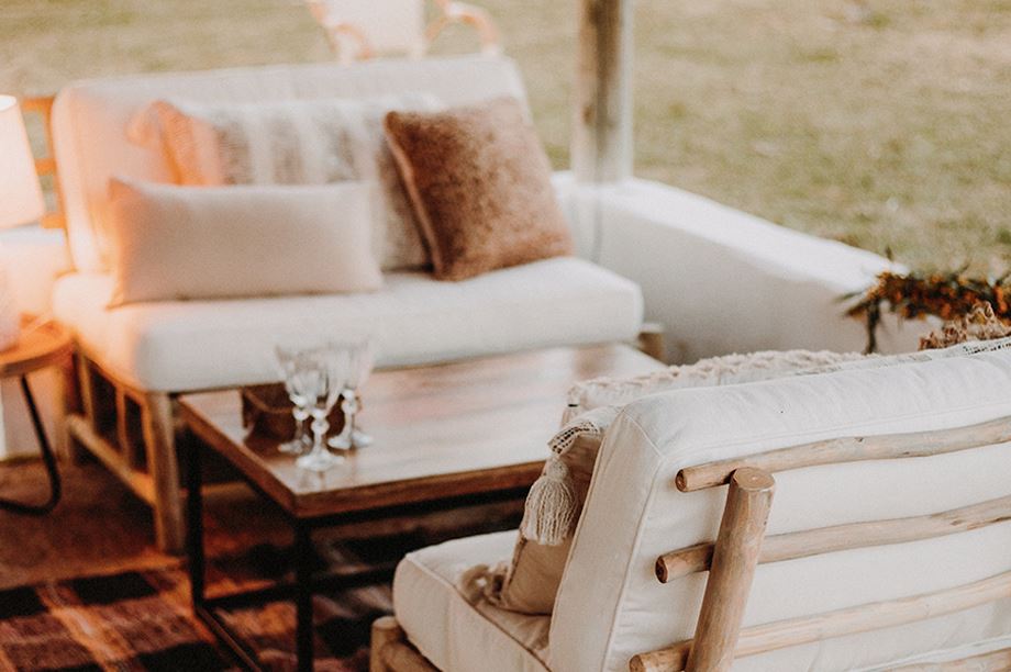 blog-MisterWils-plantas-sencillas-de-cuidar