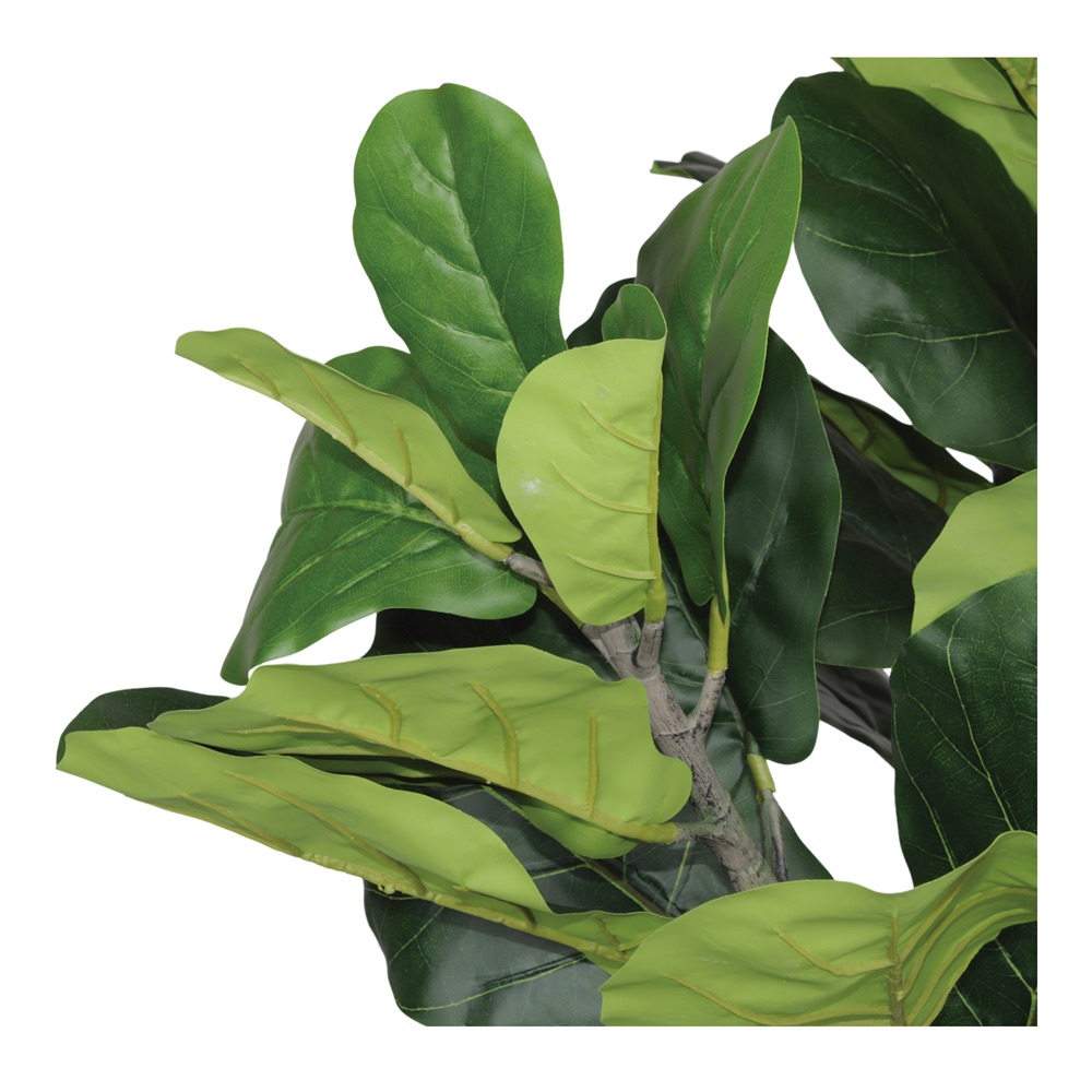 misterwils-plante-artificielle-decorative-arbre-lyrata-ficus-02 PLANTE ARTIFICIELLE DÉCORATIVE ARBRE LYRATA FICUS | Trouvez-la chez MisterWils. Plus de 4000m² d'exposition. 2