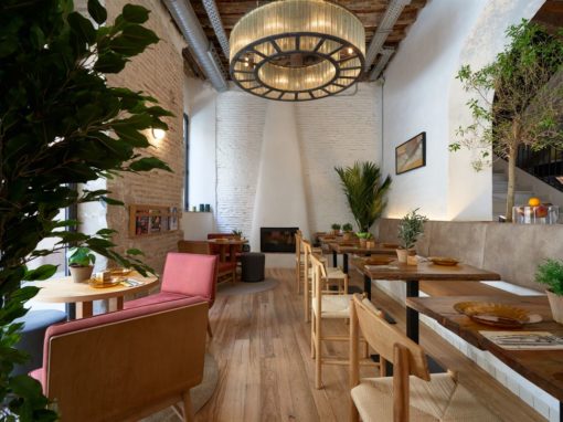 Perro Viejo à Malaga, un endroit privilégié et une carte exquise