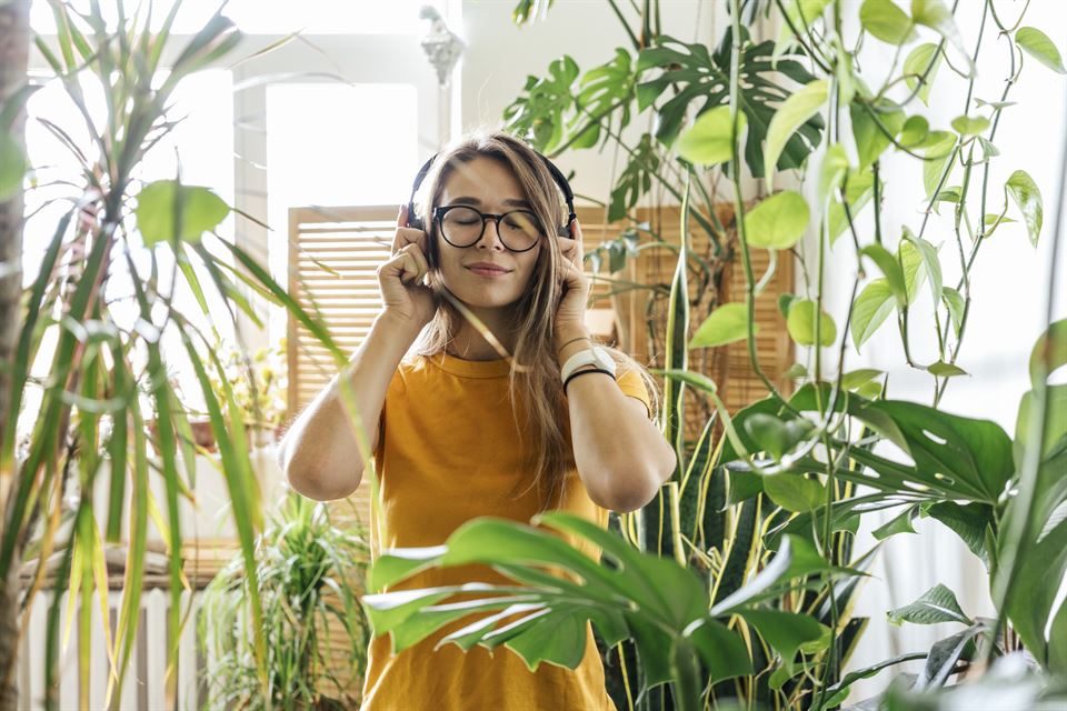 5 idées pour décorer avec des plantes artificielles : Nous avons la solution parfaite si vous n'avez pas le temps de vous occuper de vos plantes. 1