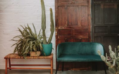 Idées pour des salons colorés