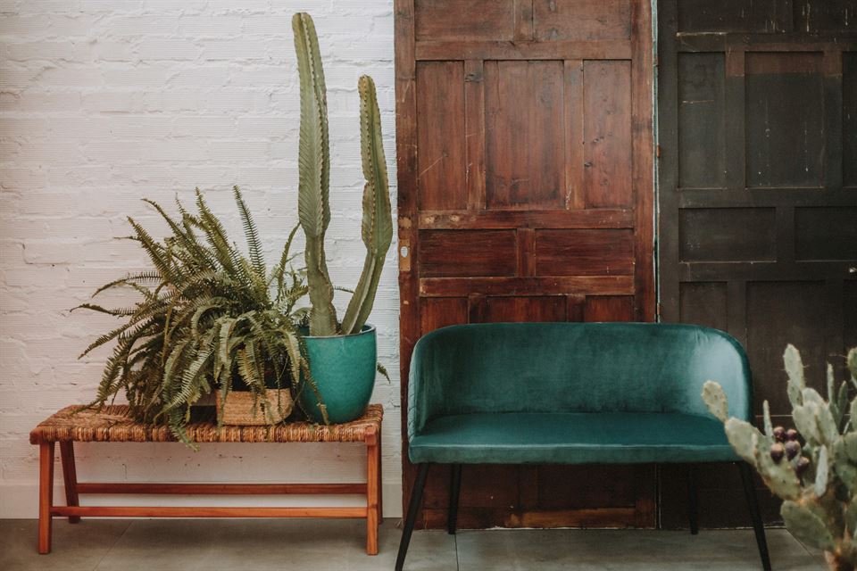 Idées pour des salons colorés