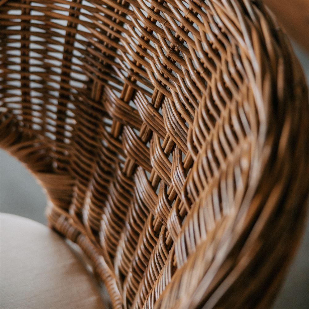 misterwils-session-photo-fauteuil-rotin-petras-3 CHAISE EN ROTIN PETRAS, style Méditerranéen | Trouvez-la chez MisterWils. Plus de 4000m² d'exposition. 7