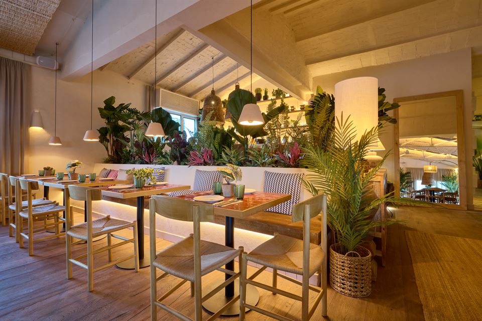 salon avec meubles et plantes Hermanos Guadalupe